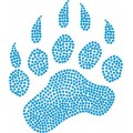 Grizzly Bear Paw - Design