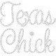 Texas Chick